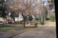 /album/galeria/licencia-viviana-168-jpg/